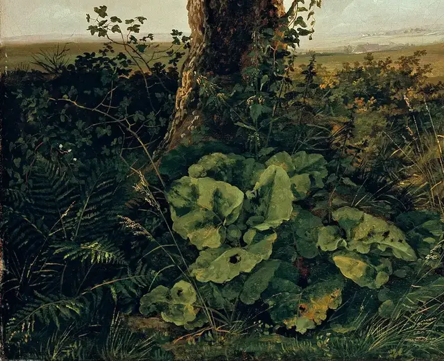 View near Presto by Johan Christian Dahl: Broad leaves establish botanical proximity
