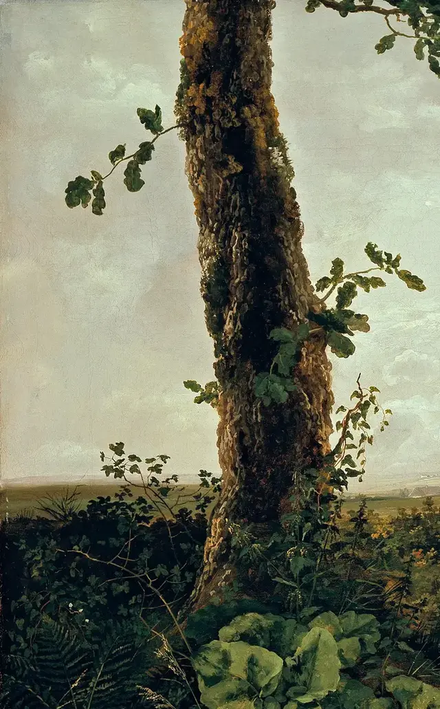 View near Presto by Johan Christian Dahl: The foreground trunk is nearly monumental