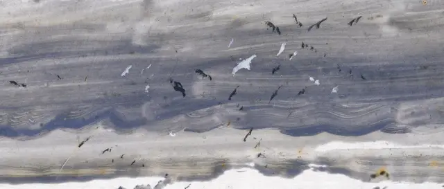 Stormy Sea by Peder Balke: Birds turn scratches into scale markers