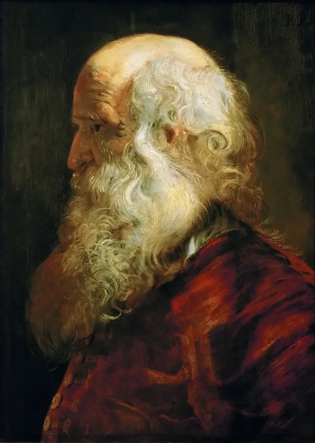 Study for the Head of an Old Man by Peter Paul Rubens: The panel was trimmed and extended