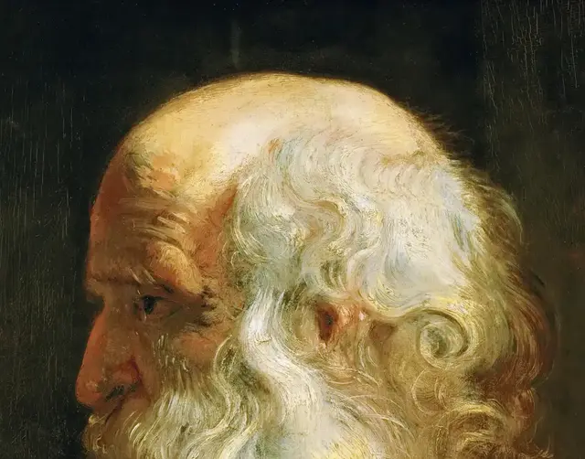 Study for the Head of an Old Man by Peter Paul Rubens: Light establishes the skull's volume
